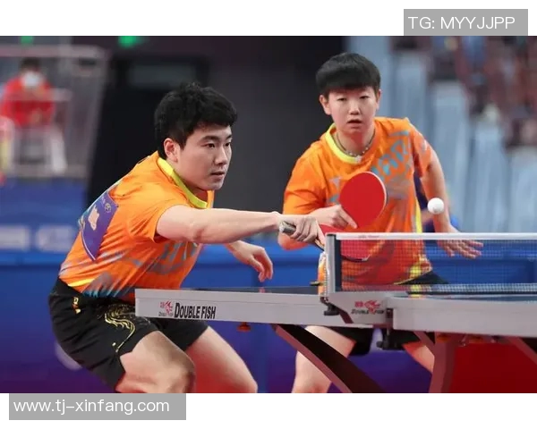 深度对话杨强乒乓球人生的背后故事与奋斗历程探秘