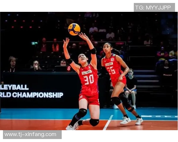 南京排球队反击战术解析与实战应用探讨