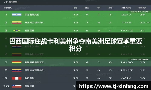 巴西国际迎战卡利美州争夺南美洲足球赛季重要积分