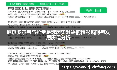VSport胜利因您更精彩