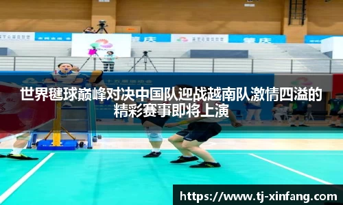 世界毽球巅峰对决中国队迎战越南队激情四溢的精彩赛事即将上演